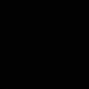 Meet your Posher, Jaime